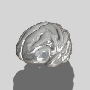 Brain