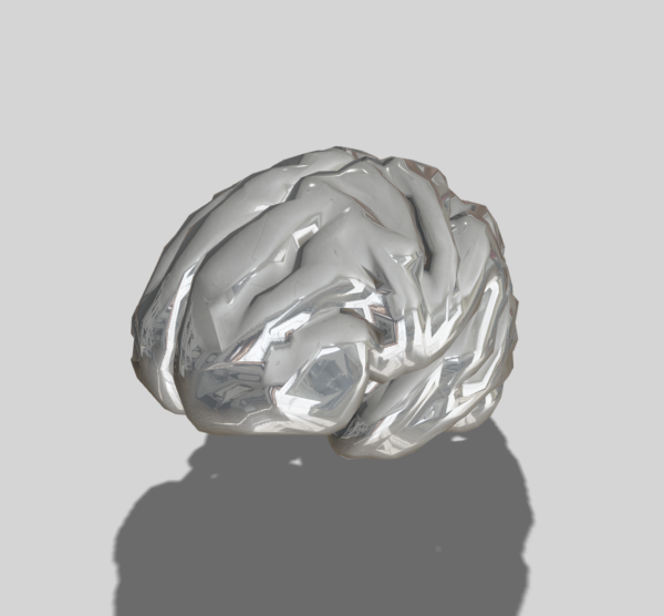 Brain
